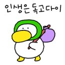 일프로짐 이미지