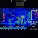 ㈜대양 | 볼거리와 즐길거리가 다양한 2월 제주도 여행 가볼만한 곳 &#39;아쿠아플라넷 제주&#39;