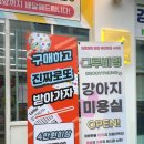 로또애견 용품점 이미지