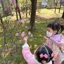 [바깥놀이]봄에 피는 꽃을 찾아보아요~🌼🌸 이미지