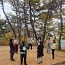 시나브로 | 공주 여행 추천 - 시나브로 치유길 체험 후기