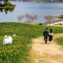 노고단레포츠