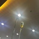 화정벌의원 이미지