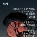 족보삼 Daum카페