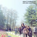 그레이스리뷰티라인 이미지