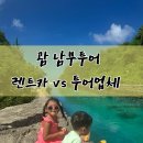 매일카프라자 | [괌 3일차] 남부투어 리얼 후기: 2세·4세 아이와 함께한 렌트카 자유여행 총정리 (루트추천/준비물...
