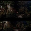 달빛여우 이미지