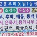 가향농장 이미지