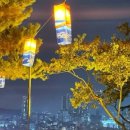 세르비모텔 이미지