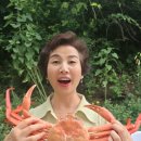 카멜펜션 이미지