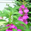 다르게 천천히 이미지