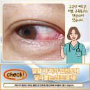 성모류마내과의원 이미지