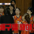 올 시즌 여자배구 예상 이미지