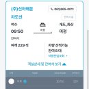 개도중앙1로 | 여수 개도 섬 백패킹 갈 때 '이것' 모르면 고생합니다 (배편/박지/샤워 팁)