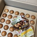 쥴리앤벨라 이미지