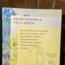 윌링 Daum카페