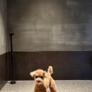 삼성점 기아오토큐 이미지