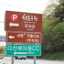 강진10호 이미지