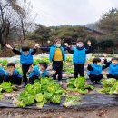 산울안민속농원