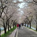 하방지천 이미지