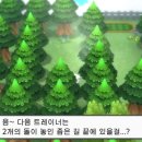 대동체육관 이미지