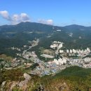 철암식품 Daum카페