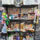 봉봉애견카페호텔 이미지