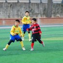 합성초등학교 이미지