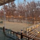 도대리카페 이미지