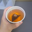 블랙뮤지엄 | 제주 오설록 티뮤지엄 우도땅콩블랙티 티백 차 선물받은 후기