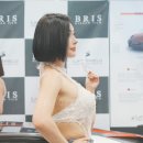 오토쉴드 - 용산구 원효로81길 8 | 오토쉴드