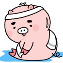 빈체로 휘트니스 이미지