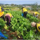 수택경로식당 이미지
