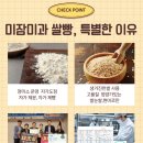 더 건강한 쌀빵 | 진천 미잠미과 선물세트 A 솔직 후기 건강한 쌀빵 현지인 명물 추천