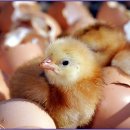 넓은세상 이미지