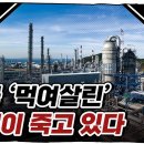 KDI골든타임이 얼마 남지 않은 한국 석유화학 산업 : 변하지 않으면 도태된다! '탈출은 지능순'이라는 화학산업의 미래...💧 이미지