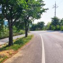 아우라지 베개용암 탐방안내소 이미지