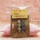 마리애견 이미지