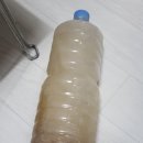 칠공주족발 이미지