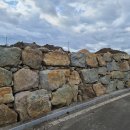 영천골재중기 이미지