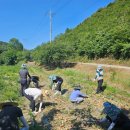 재난안전과 이미지