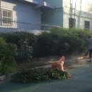 동네놀이터 티스토리