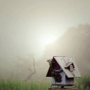 이동원의 가을 편지 이미지