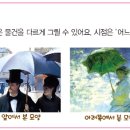 세광교육 이미지