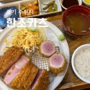 수원시 팔달구 중부대로239번길 | 수원 아주대 맛집 한조카츠 모듬카츠 후기 웨이팅, 주차 정보