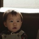 KAFA 헬스 네이버블로그