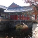 순천-59호 티스토리