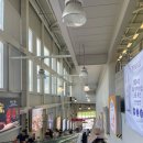 (유)세종종합운수 | 세종 코스트코 - 2025년 8월 후기 (일본 •대만 •홍콩 과자도 + 단백질을 채우자 + 추천템 + 푸드코트) ⭐️