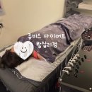 ㈜오솔루션서울지점 | 방이동헬스장 대신 선택한 쥬비스 왕십리 BMI 프로그램 1주차 찐후기(+비포애프터)