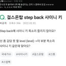 Step Back에 샤이니 키 목소리 들리지 않아요?.x 이미지